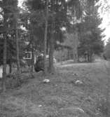 Lungersåsen, bostadshus.
4 oktober 1946