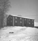 Alkvettern, bostadshus.14 mars 1946