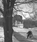 Karolinska läroverket, biblioteket.
18 mars 1946