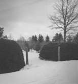 Ramsbergs kyrkogård.
24 januari 1946