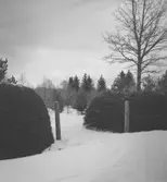 Ramsbergs kyrkogård.
24 januari 1946