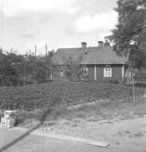 Bostadshus.
18 juli 1949.