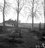 Ekeby kyrka, kyrkogården.
4 januari 1949.