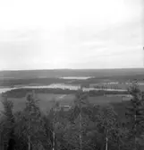 Rällså. Utsikt.
13 juni 1949.