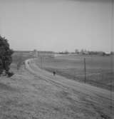 Skyberga. Vy.25 mars 1949.