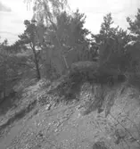 Sörby, fornlämningar.
10 maj 1949.