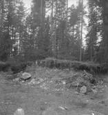 Anderstorp, fornlämningar.
15 augusti 1950.
