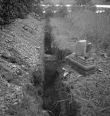 Kägleholms slottsruin.
14 augusti 1951.