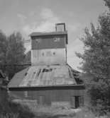 Lindesby hytta, exteriör.
22 juli 1951.