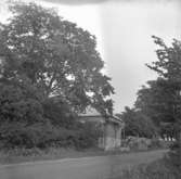 Norrbyås kyrka, bårhuset, exteriör.
27 september 1951.