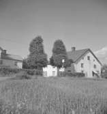 Bostadshus.10 juli 1952.