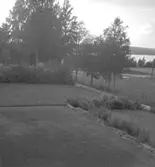 Siggebohyttans bergsmansgård, sjöutsikt.
16 augusti 1952.