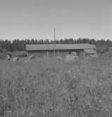 St. Älberg, byggnader.
26 juni 1952.