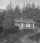 Sune Anderssons föräldrahem. På samma tomt fanns Tälle Gästgiveri, krog, bageri, (Kantakrogen). Det var en gång i tiden en plats där man kunde övernatta och byta hästar för de som var på resande fot med häst och vagn. Troligen var det byggt på 1500-talet. Byggnaden var K-märkt men den revs när nya vägen till Askersund byggdes.
Se även bild OLM-1953-79

10 juli 1953.