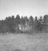 Husabergs udde.
14 april 1953.