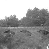 Bro.5 augusti 1954.