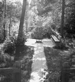 Rockebro källan.
11 augusti 1955.