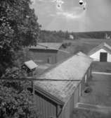Bostadshus och byggnader.27 juni 1958.