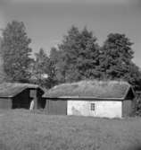 Byggnad.
11 augusti 1958.