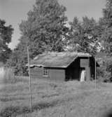 Byggnad.
11 augusti 1958.