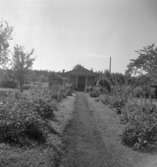 Fåsjöhyttan, bostadshus.
12 augusti 1958.