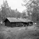 Sjöändans barnkoloni.