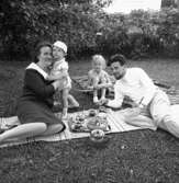 Picknick, familjegrupp fyra personer.
Elly Bergman