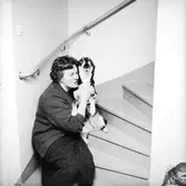 Interiör, en kvinna och en hund.Sedvall