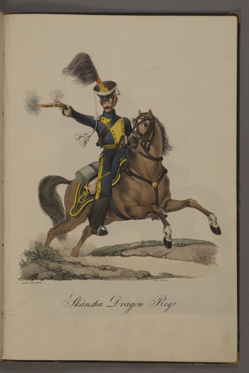 Kjell Hedberg, Plansch med uniform för Skånska dragonregementet. Handkolorerad litografi efter original av Johan Sjöholm. Ingår i planschsamlingen Kongliga svenska arméens uniformer utgiven som stentryck av Müller 1825.