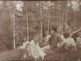 Granliden, Tisaren.
Familjegrupp sju personer i gröngräset i en skogsbacke.
Familjen Thermaenius, från väster: Ulla, Gerda, Carl-Edvard, Alfred, Maj, Sven.