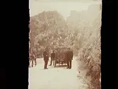 Juli 1912. Tre män och en bil