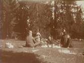 Picknick i gröngräset, 13/5 1912