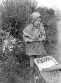 En liten flicka med leksaksbarnvagn.
Se även bild 2008:35:139.