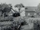 Bild av gammal gård, Munkagård. Manhusbyggnad och uthus.