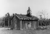 Torvtäckt övergiven stuga med gran på taket.
Skyttatorp
