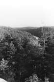 Utsikt mot Östgötaviken från en bergtopp vid Stenkälla.