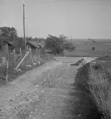 Odensbacken, fornlämningar.
27 september 1938.