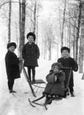 Fyra barn med sparkstötting.
Bröderna Olle och Lars Andersson och systern Britta ca 3 år gammal, samt deras kusin Börje Ramqvist från Västerås, son till deras faster Elin. Bilden bör vara tagen ca 1919. Givaren minns att en av sparkarna kom från Dalarna. Okänt var bilden är tagen men det bör ha varit i närheten av hemmet i Norberg.