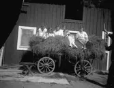 Höbärgning hos Ljungström.
Dalarna