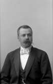 En man.Carlsson