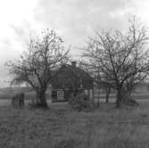 Brändåsen, domarring.
Oktober 1964.