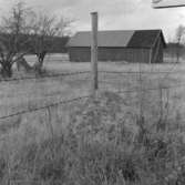 Brändåsen, domarring.
Oktober 1964.