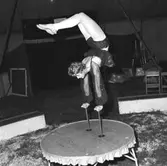 Miss Anette, Cirkus Scala, Osby.