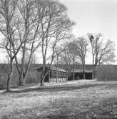 Siggebohyttans bergsmansgård, exteriör.
20 mars 1961.