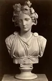 Staty (byst).
Thalia. Originalet finns i Vatican i Rom.
Nr.1871.
Fotografiet rör Wilhelmina Lagerholms konstnärliga verksamhet.