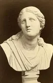 Staty.
Niobe (antik).
Nr.527.
Original in Florenz.
Fotografiet rör Wilhelmina Lagerholms konstnärliga verksamhet.