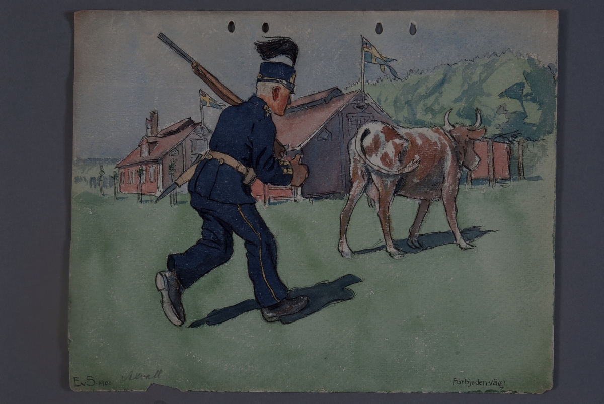 Kjell Hedberg, Kossan på förbjuden väg, soldat jagar efter, teckning av Einar von Strokrich.