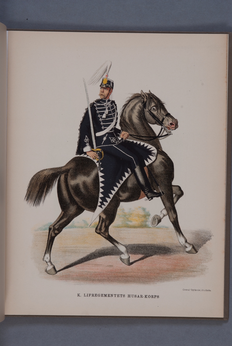 Kjell Hedberg, Plansch i färgtryck med uniform för Livregementets husarkår. Ingår i boken Svenska arméns och flottans uniformer, utgiven av P.B Eklund 1891.