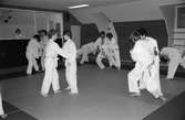 Ungdomar från Lindome judoklubb tränar, år 1984.

För mer information om bilden se under tilläggsinformation.