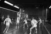 Volleybollmatch mellan de båda lindomelagen Lindome Finska Förening och Trevaren i Ekenskolans idrottshall, Kållered, år 1984.

För mer information om bilden se under tilläggsinformation.